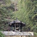 중앙대로179번길 | 부산 당일치기 여행코스 뚜벅이 여행 (영도, 중리항, 태종대 다누비열차, 국립해양박물관)