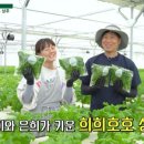 로컬힘마트 이미지