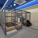 거창목재문화체험장 나무상상놀이터 | 광주 동구 목재 문화체험장 ‘상상 목재 놀이터’ 방문 후기 : 친환경 힐링 육아!