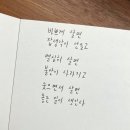 양천돈까스