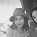 비봄