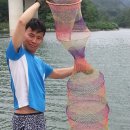 동네놀이터 Daum카페
