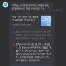 사사이푸드 | 눈시림 적고 촉촉한 수분자차 선크림, 써니콘 밤부 수딩 유브이 선 에센스 ☀️