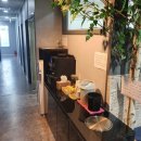 아이컴퍼니 이미지