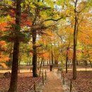 “조선왕릉 숲길서 가을정취 만끽”…11월말까지 19.59㎞ 개방 이미지