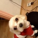 아름콩