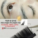 바비뷰티 이미지