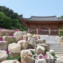 자은사 국제뉴스