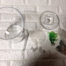 수앤컴퍼니 이미지