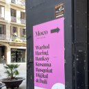 모코(MOCO) 이미지