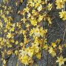 고래등공인중개사사무소 이미지