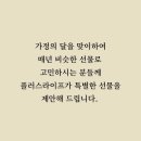 (주)온기획 이미지