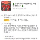 무궁화파이브 이미지