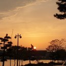 핑거스타일 기타 이미지