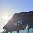 강창장어 | [대구 :: 강창장어] 부모님 모시고 가기 좋은 장어 맛집, 소금구이 양념구이 다 먹어 본 솔직 후기