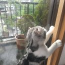 행복여관 이미지