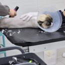 함께냥 앤 함께냥품 북수원점 이미지