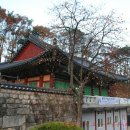 느티나무사거리 이미지