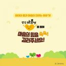 국민전집 이미지