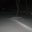 남이자연휴양림 이미지