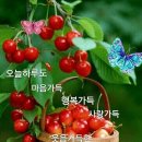 에이스환경 이미지