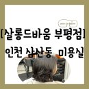 현대프라자약국 | [모발관리][인천 부평구 삼산동] 모발을 살리는 야무진 굴포천역 근처 "살롱드바움 부평점" 방문 후기