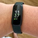 SOLID FITNESS 이미지