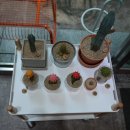 카페 제이제이 이미지