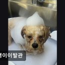 평택이발관 네이버블로그