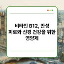 B12 이미지