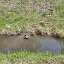 고양누리길 3코스 서삼릉누리길 | 서삼릉 누리길