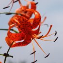 여보여보 - 전주시 완산구 홍산중앙로 33 | 여보여보