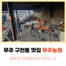 구천동1로 | 무주 구천동 맛집 무주농원 솥뚜껑 닭볶음탕 내돈내산 후기