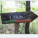 오투(O2) 이미지