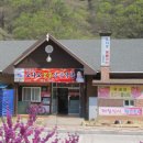 솔잎식육식당 Daum카페