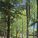 토담식당 이미지