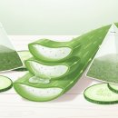 갱년기 안면홍조 열감 내리는 천연 쿨링 팩 만들기 이미지