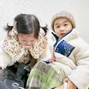 재하목장 네이버블로그