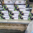 신북IC주유소 이미지