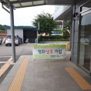 평화상조 이미지