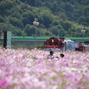 울타리영농조합법인 이미지