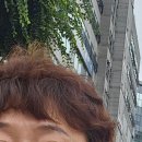 오빠네살롱 이미지