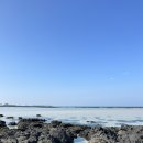 오달콤제주