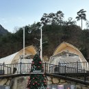 달빛글램핑장 | 대구 근교 1박 2일 여행 경남 합천 신상 글램핑장 추천 | 달빛글램핑