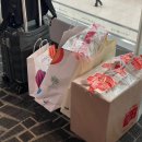 건국건기 | 싱가포르 에어라인 인천< >싱가포르< >발리 항공편 후기(SQ607, SQ944, SQ935, SQ606) / 발리공항맛집...