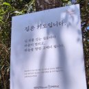 순례자의 섬 게스트하우스 | [전남] 신안 섬티아고 순례자의섬 - 12사도 순례길 힐링 여행