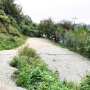 잉카의 아침 이미지