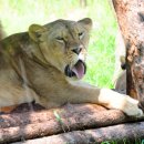 고령목장 이미지