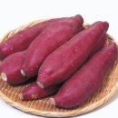 고구마스튜디오 이미지