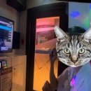 레츠코인 노래연습장 이미지